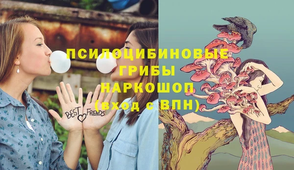 синтетический гашиш Балахна