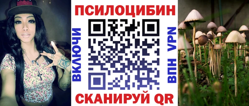 Галлюциногенные грибы Psilocybine cubensis  где можно купить наркотик  Лахденпохья 